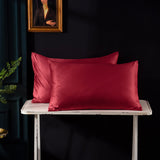 Polychromatic Silk Satin Zipper Pillow Case