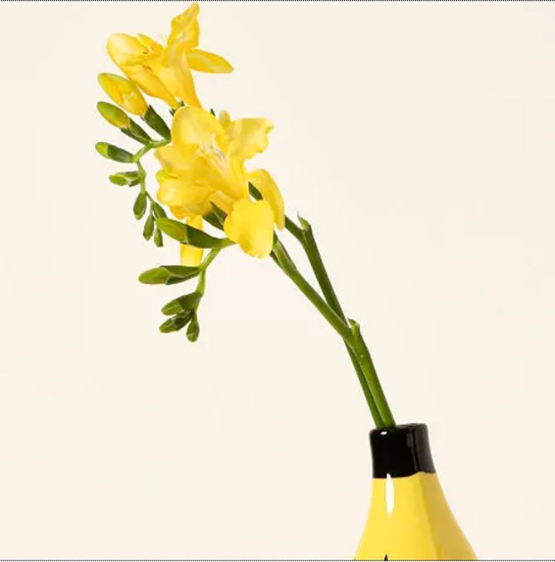 Simple Banana Vase Flower